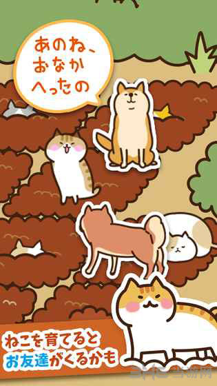 猫咪田园破解版图集展示