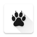 Amarok app