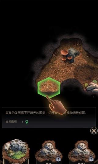 蚂蚁地下王国游戏攻略图片
