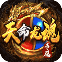 全能斗士（天命龙魂专属）-3733手游折扣版